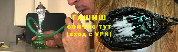 дмт Бородино