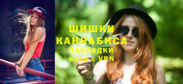 дмт Бородино
