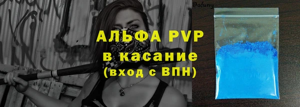 дмт Бородино