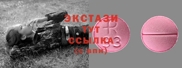 дмт Бородино