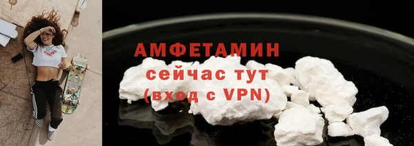 дмт Бородино