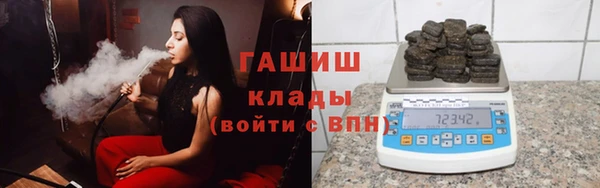дмт Бородино