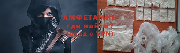 дмт Бородино
