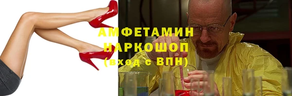 дмт Бородино