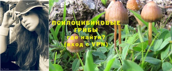 прущий лед Бронницы