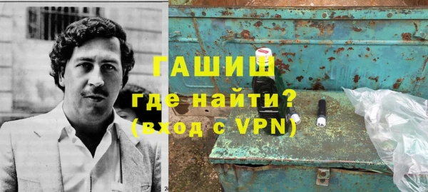 дмт Бородино