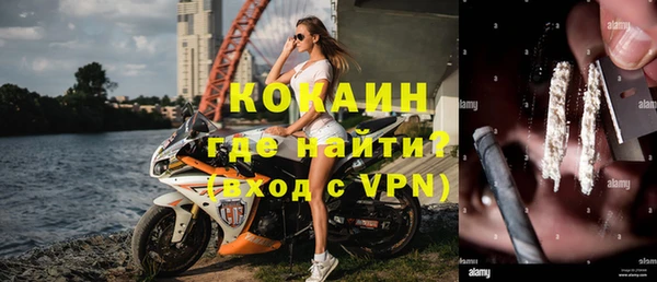 дмт Бородино