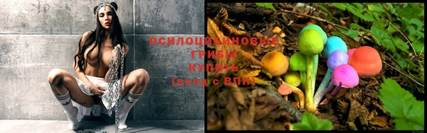 прущий лед Бронницы