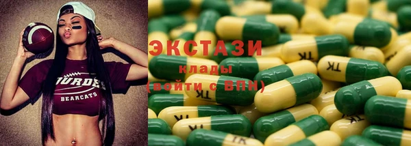 дмт Бородино
