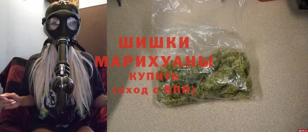 дмт Бородино