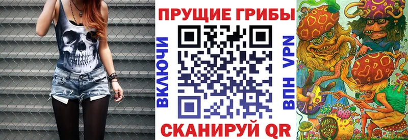 Галлюциногенные грибы прущие грибы  Северобайкальск 