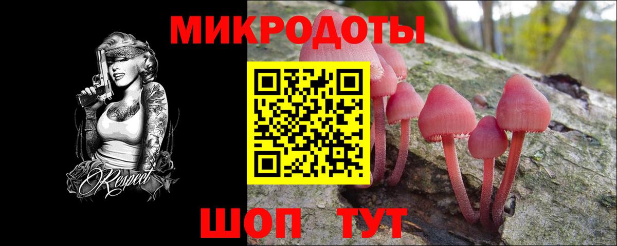 Галлюциногенные грибы прущие грибы  Галлюциногенные грибы мицелий  Северобайкальск  Вход с VPN 